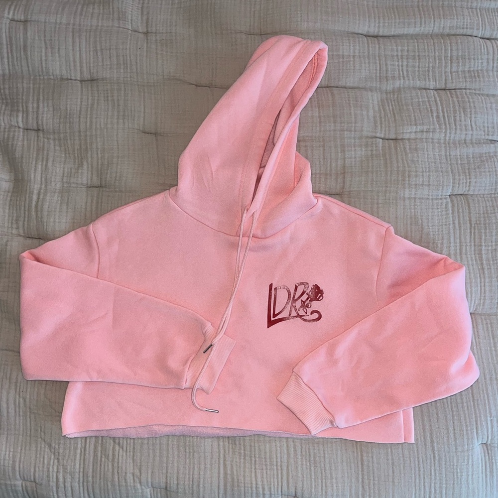 RARE: NWOT LDR Village (Lana Del Rey) Cropped Hoodie